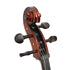 Forenza Prima 2 Cello Outfit - 1/2 Size Cellos and Double Basses