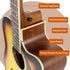 MX Cutaway Acoustic Guitar Pack - Sunburst